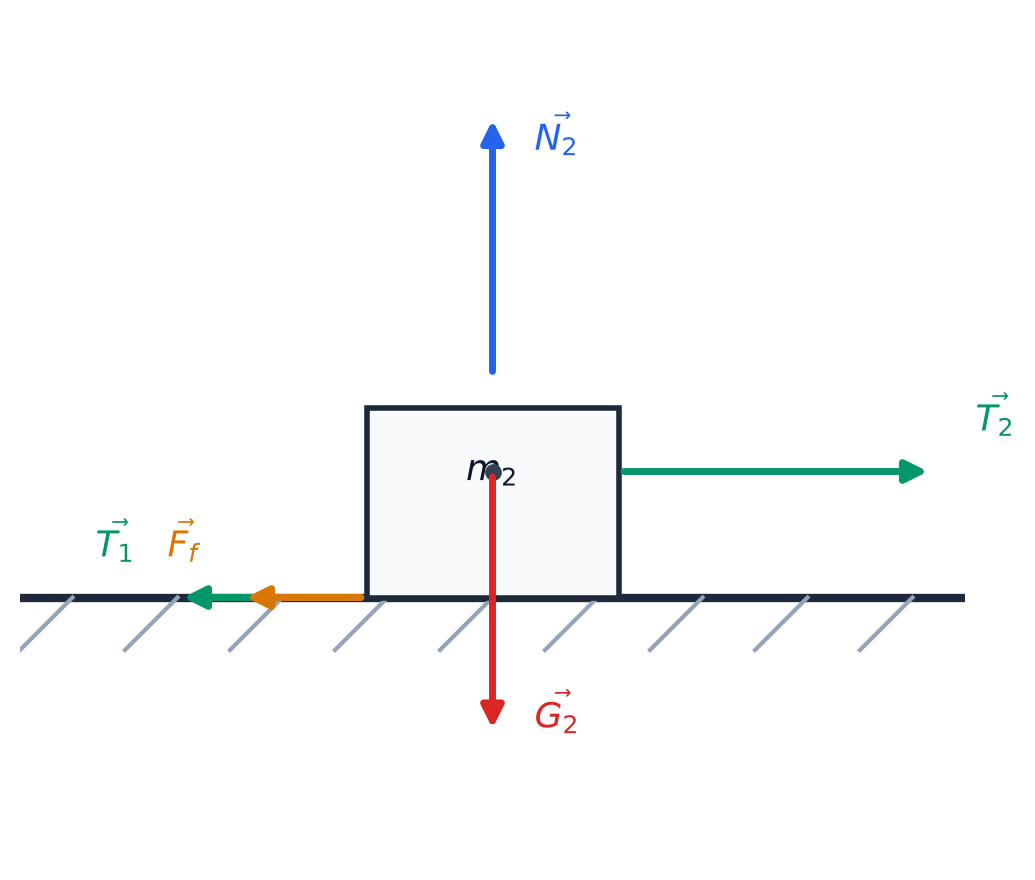 Diagrama didactică a forțelor pe corpul m2