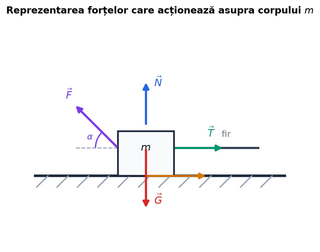 Reprezentarea forțelor pe corpul m