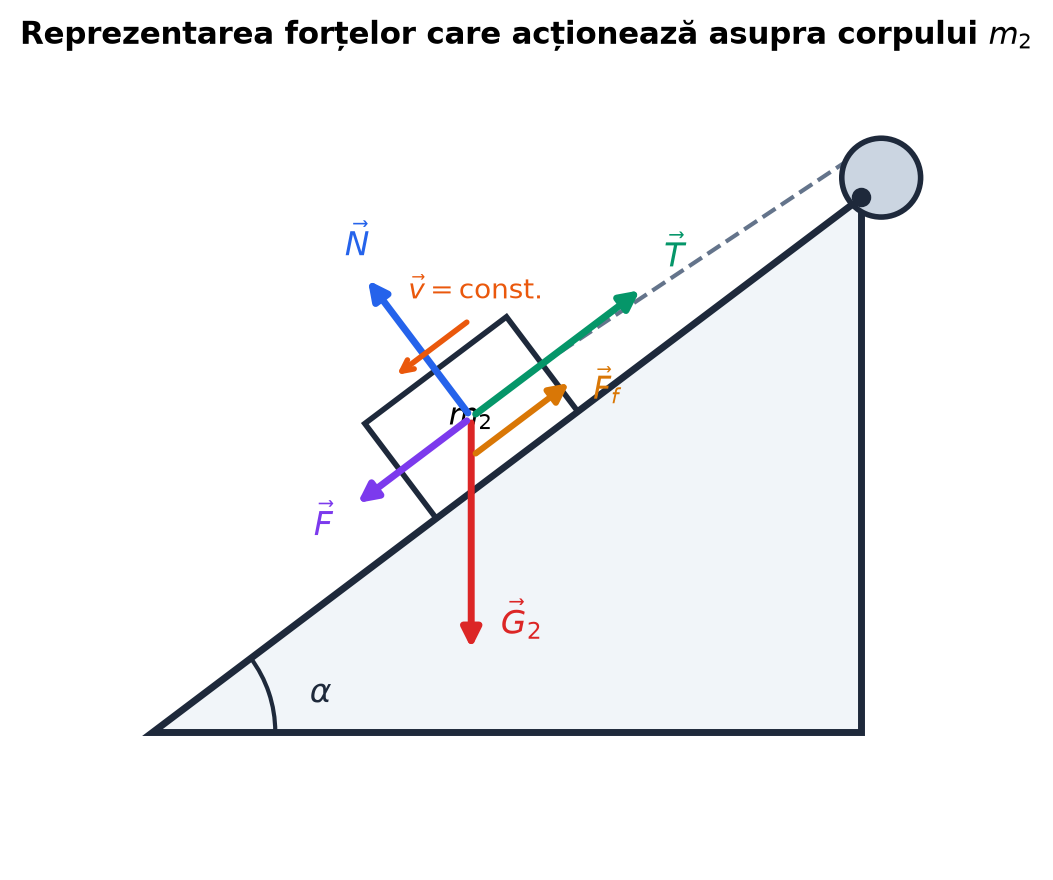 Reprezentarea forțelor pe corpul m2