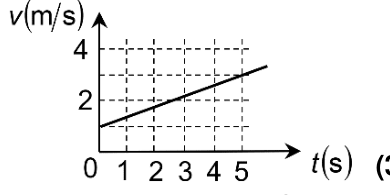 Grafic v(t)