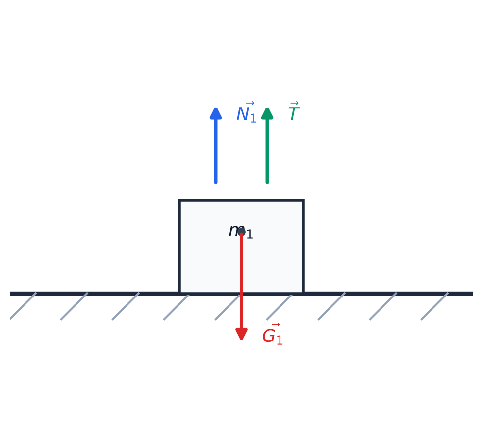 Diagrama didactică a forțelor pe corpul m1